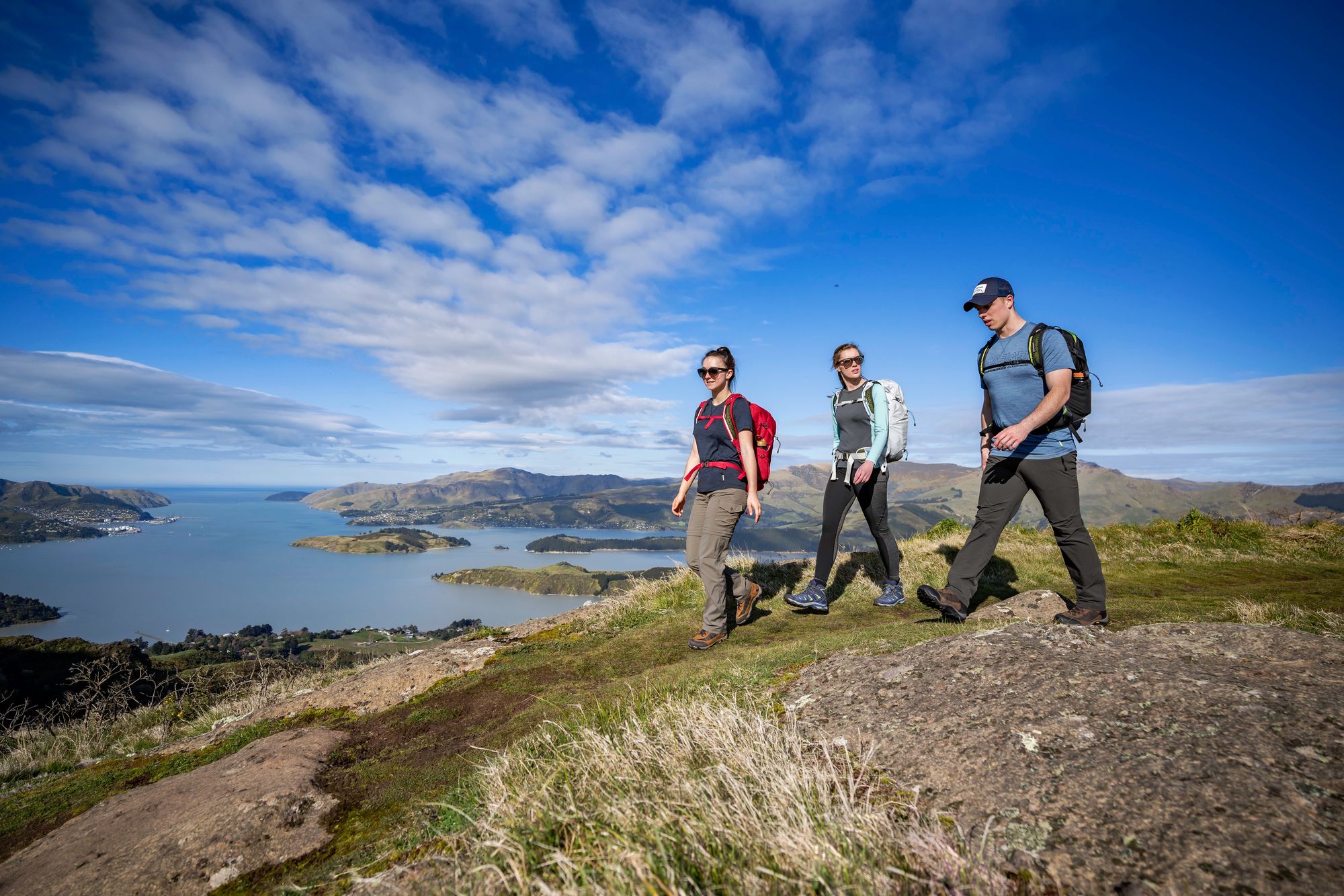 Hiking blister clearance kit